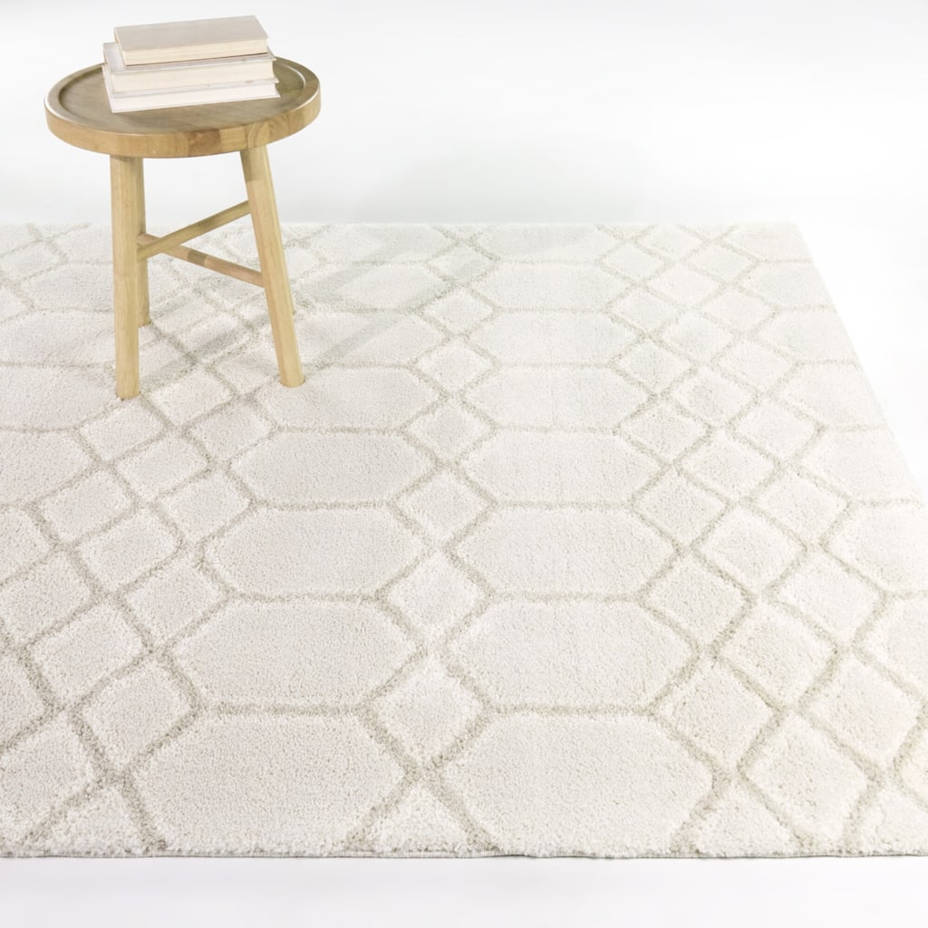 Charles Modern Luxe Area Rug