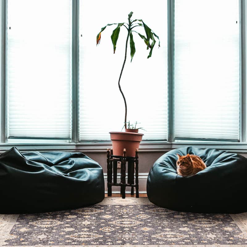 ECARPETGALLERY Hand-knotted Jules Sultane Dark Grey Wool Rug - 8'0 x 9'11