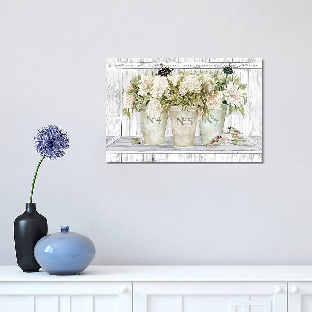 iCanvas "French Peonies Still Life II " by Cindy Jacobs Canvas Print
