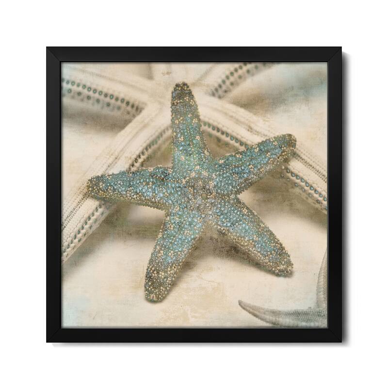 Coastal Gems III Premium Framed Poster by John Seba - Black - 16x16x1