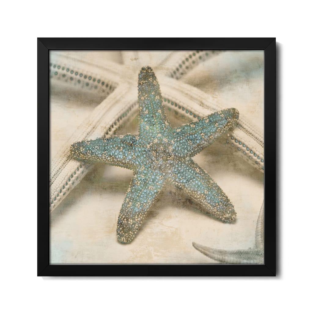 Coastal Gems III Premium Framed Poster by John Seba