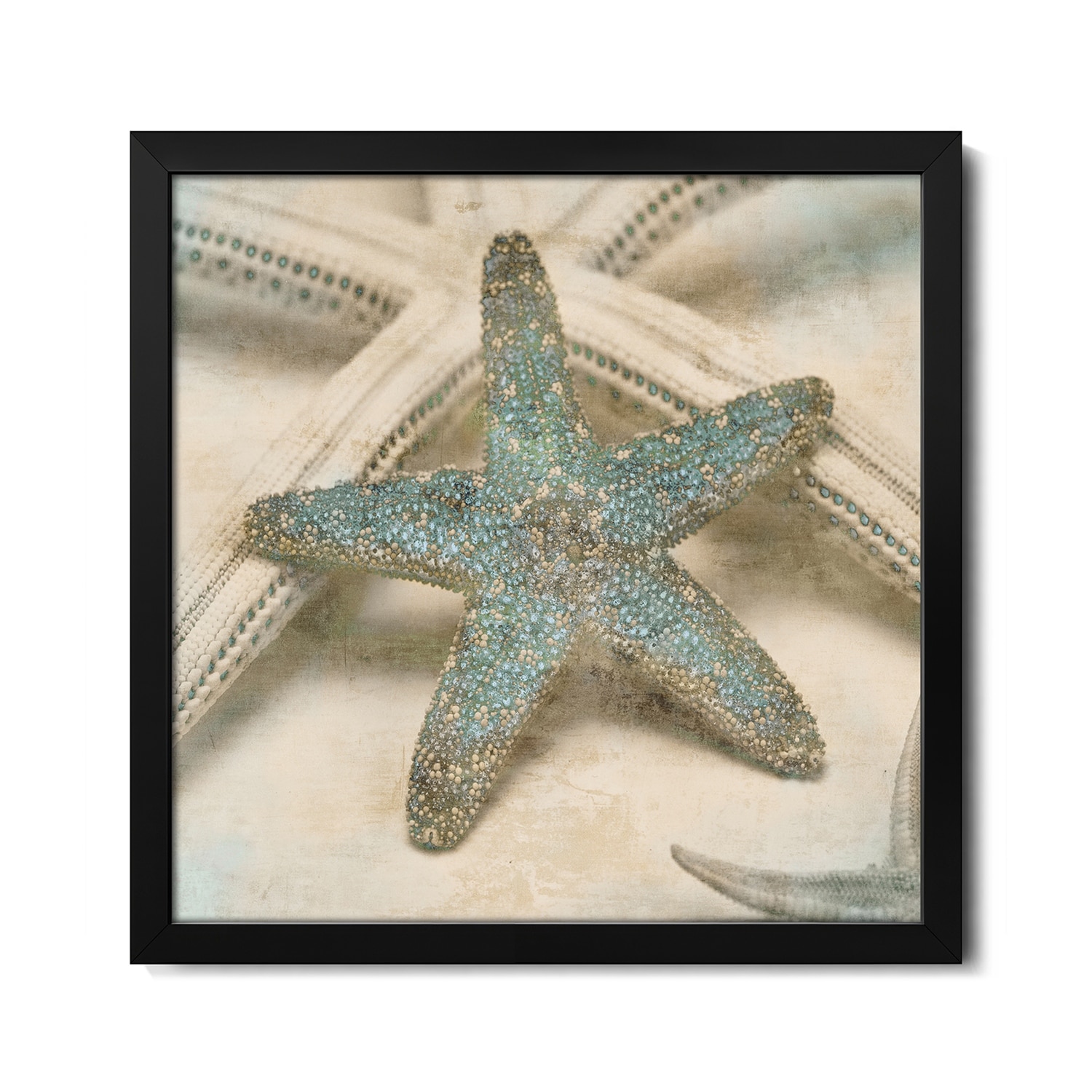 Coastal Gems III Premium Framed Poster by John Seba