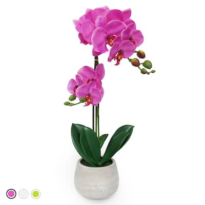 Artificial Phalaenopsis Orchid Flower Arrangement in Clay Pot 20in
