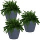 preview thumbnail 24 of 25, Sunnydaze Anjelica Polyresin Outdoor Flowerpot Planter - 24" - Slate 3-Pack