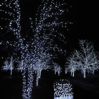 Outdoor Lighting Our Best Garden Patio Deals Online At Le Star Led Solar String Lights