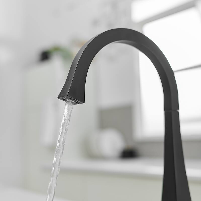 WIZ Single Handle Standard Kitchen Faucet