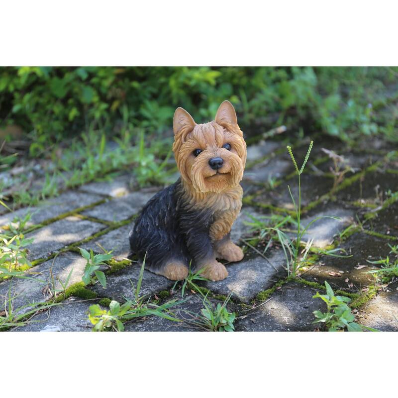 Sitting Yorkshire Terrier Outdoor Garden Statue - 9.25" - Black and Brown