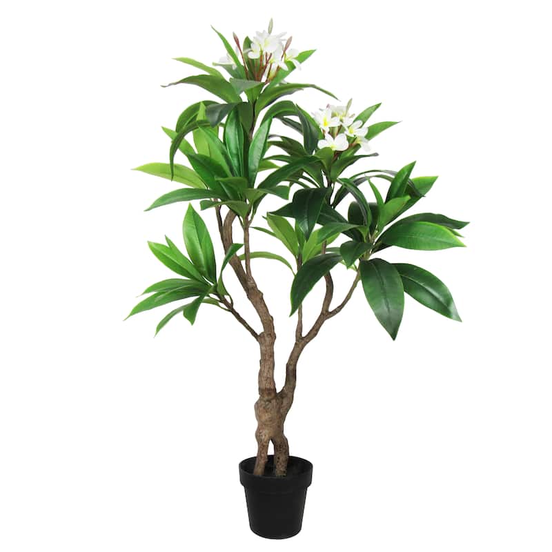 4ft Cream Artificial Plumeria Flower Tree Tropical Plant in Black Pot - 48" H x 36" W x 27" DP