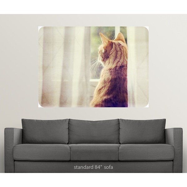 Cat Animal Looking Through Window Silhouette Multi Color