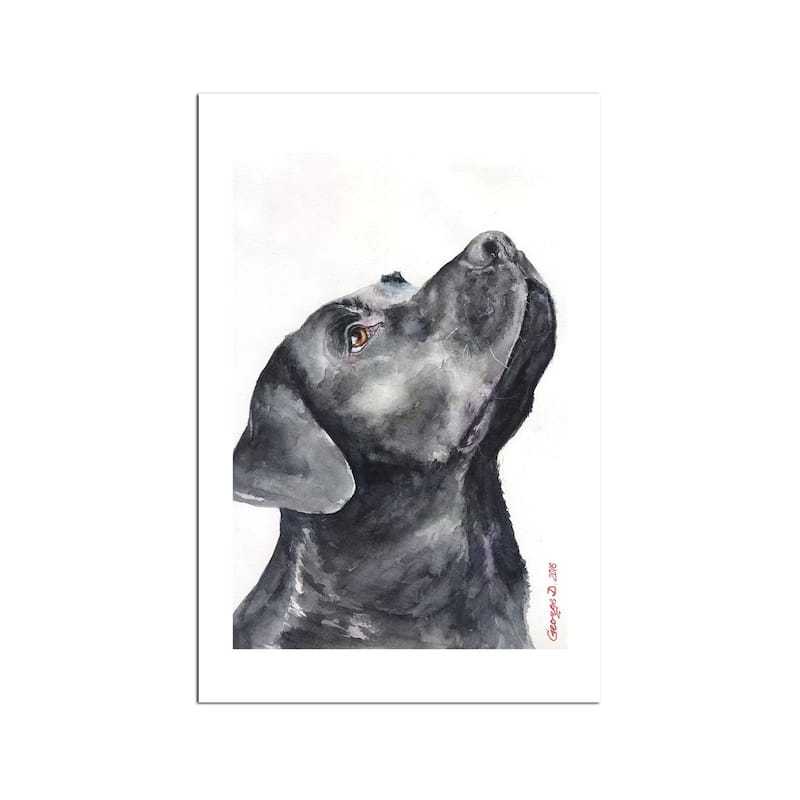 Black Labrador Fine Art Paper Print by George Dyachenko - Multi