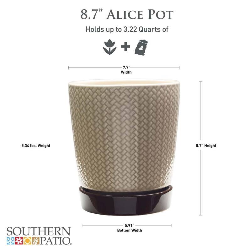 Southern Patio Alice Ceramic Indoor Pot Planter (Pack of 2) - 8" Diameter (2-pack)