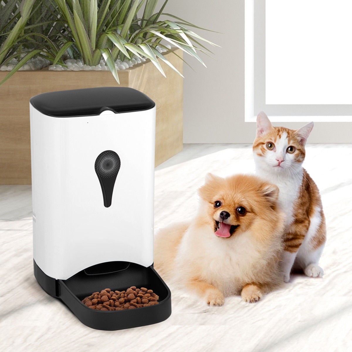 automatic dispenser cat food