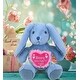 preview thumbnail 5 of 3, DolliBu Mother’s Day Super Soft Plush Baby Blue Rabbit With Pink Heart - 8 inches