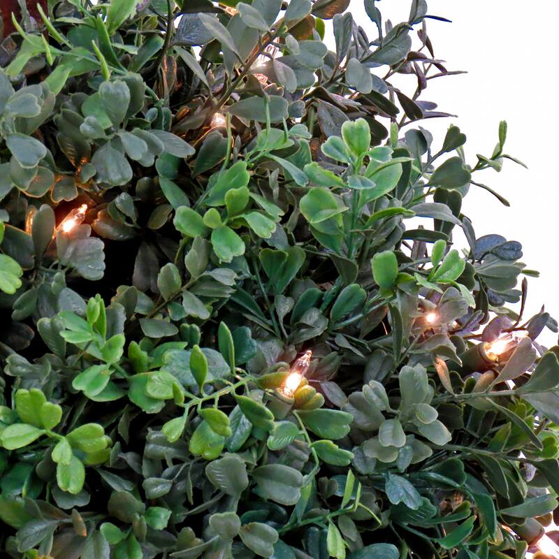 National Tree Company 2 ft Prelit Artificial Boxwood Single Ball Topiary with 50 Clear Lights - 24 in