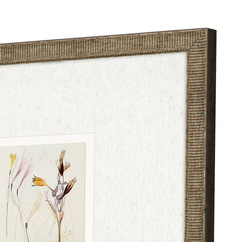 Antique Botanical II S/3 Framed Art Under Glass - Green