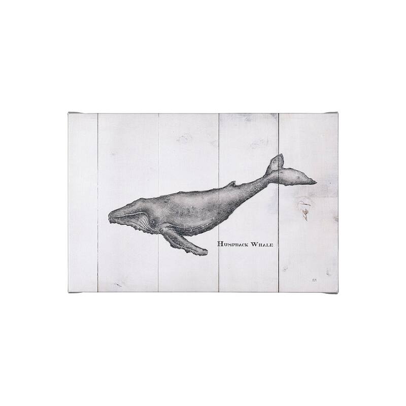 Humpback Whale (30 x 20) Canvas Art Print - Small
