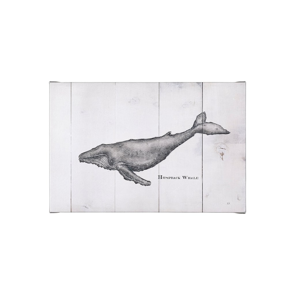 Humpback Whale (30 x 20) Canvas Art Print