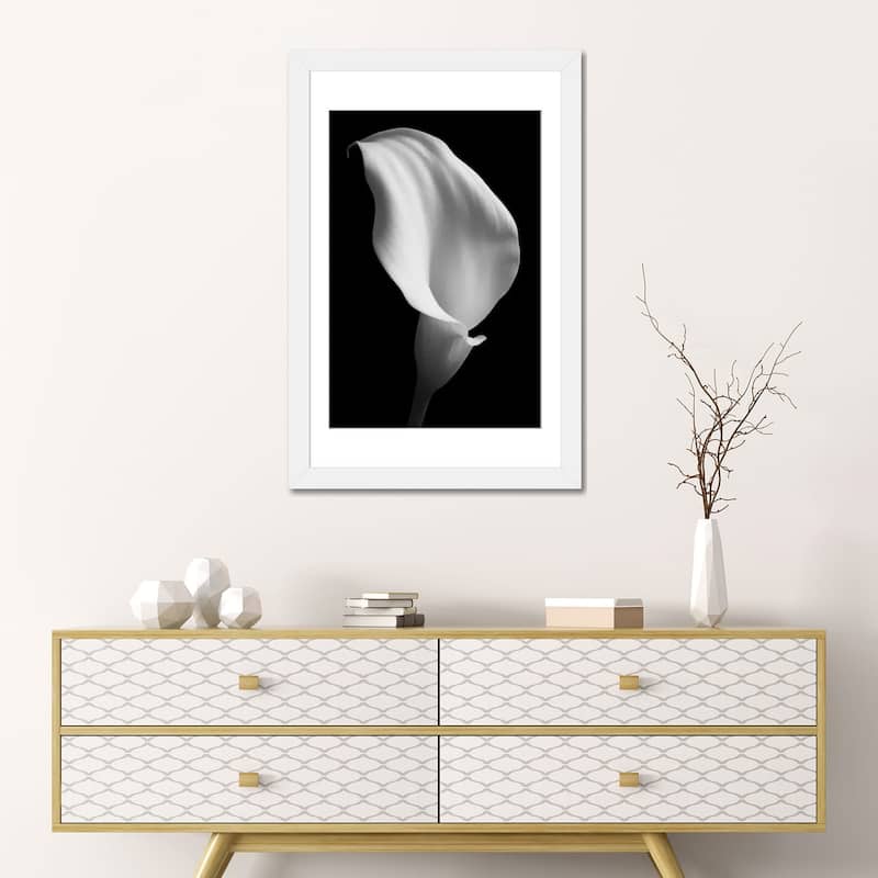 iCanvas "Lily On Black II" by Tom Quartermaine