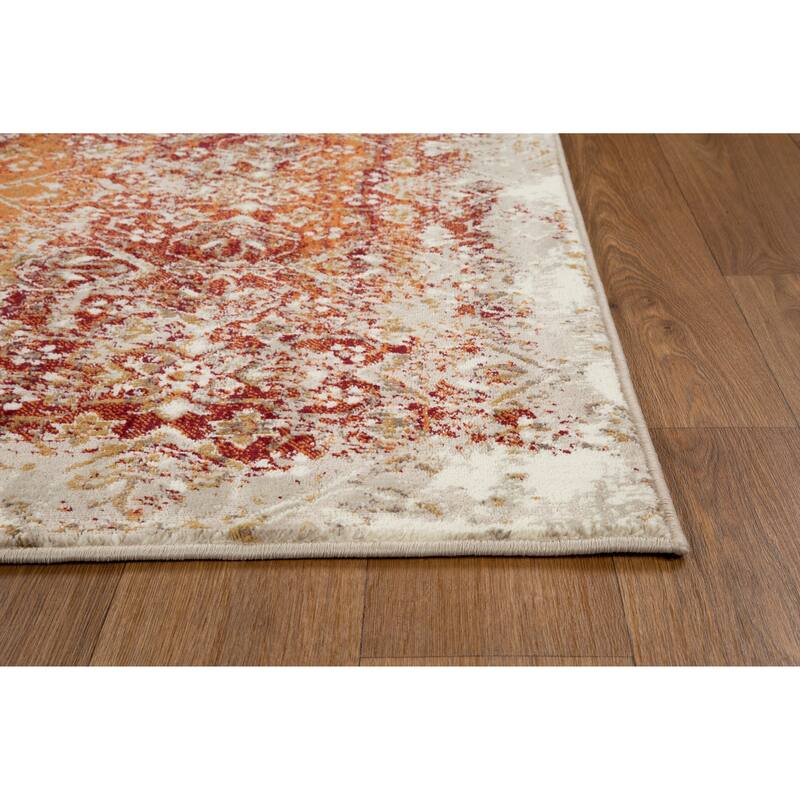 Domani Marrakesh Vintage Medallion Rug