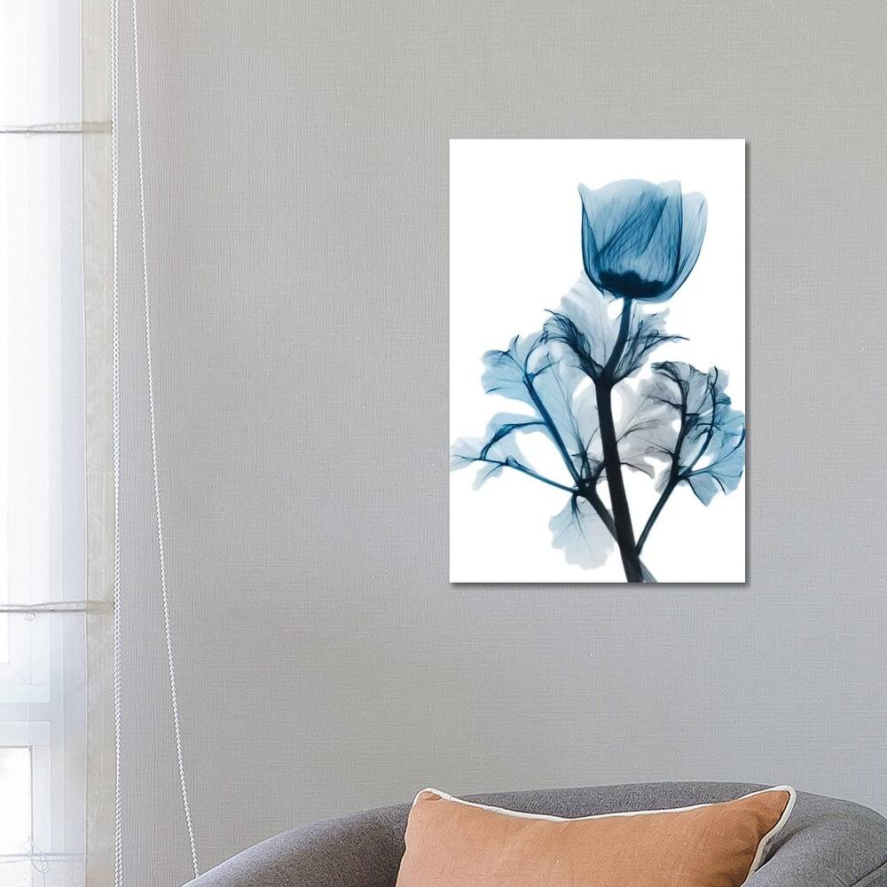 iCanvas "Sapphire Gleam I" by Albert Koetsier Canvas Print