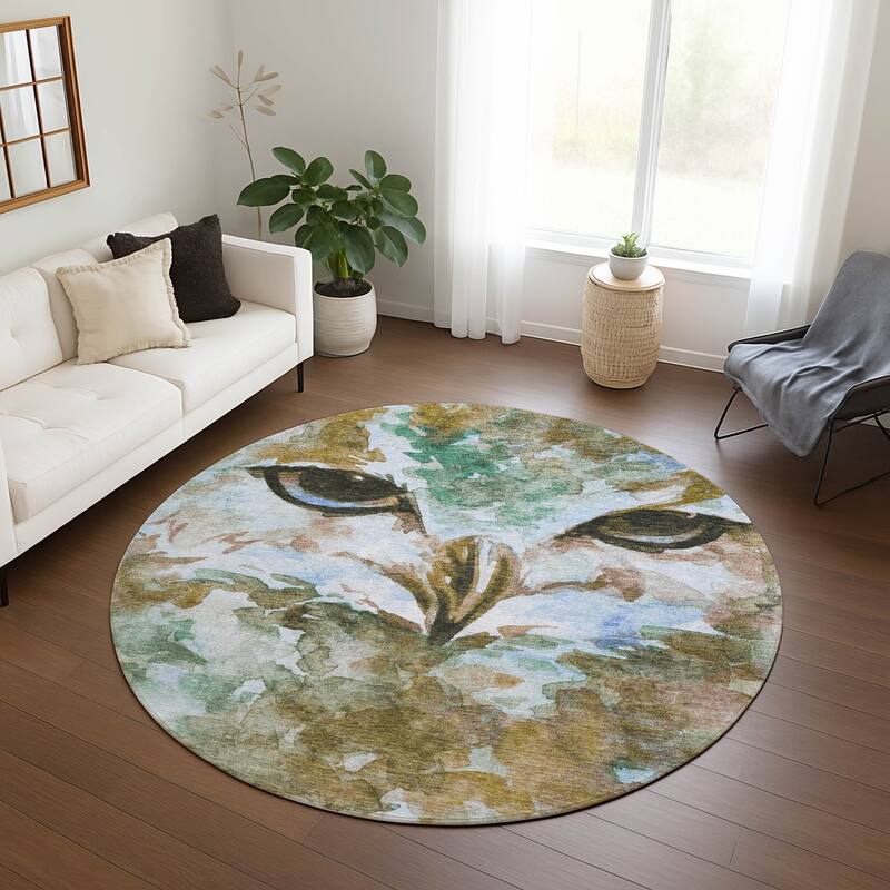 Machine Washable Indoor/ Outdoor Modern Owl Chantille Rug