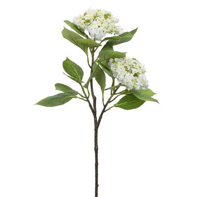 Hydrangea Branch (Set of 6) 32"H Polyester - White, Green