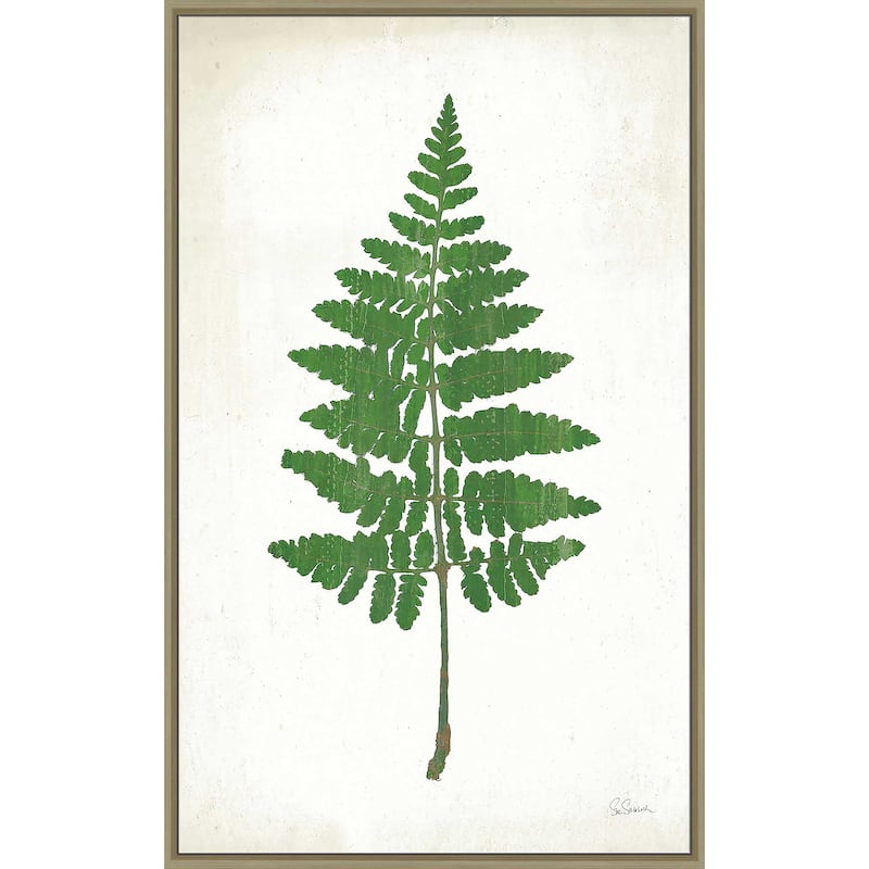 "Chalkboard Fern Green II" Print on Floating Canvas