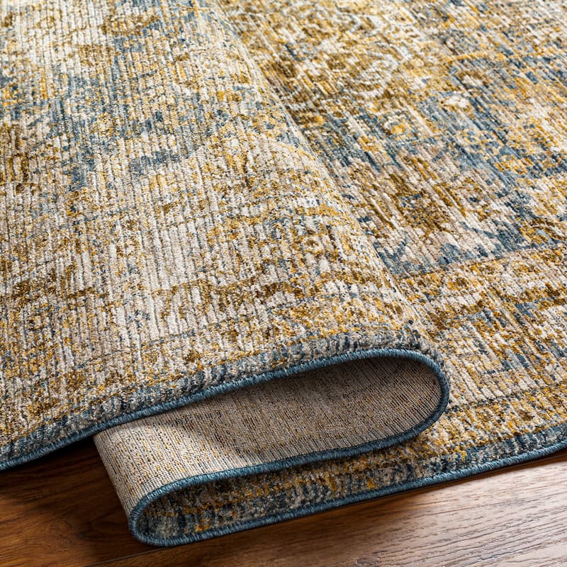 Aiyla Traditional Medallion Area Rug