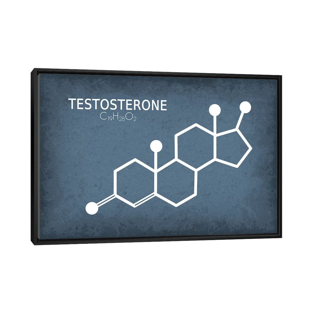 iCanvas "Testosterone Molecule" by GetYourNerdOn Framed Canvas Print
