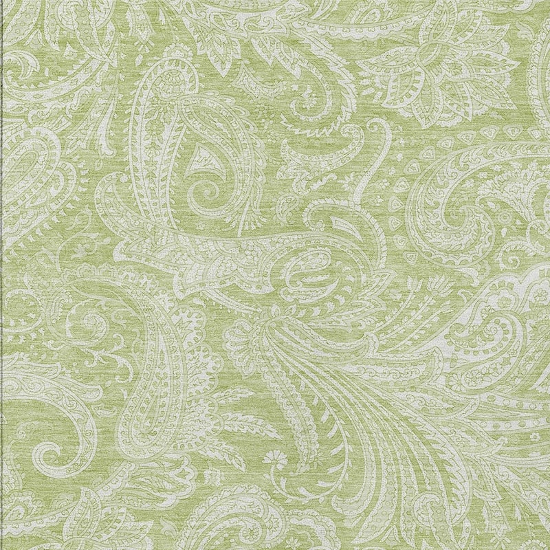 HomeRoots Paisley Transitional Rectangle Outdoor Rug