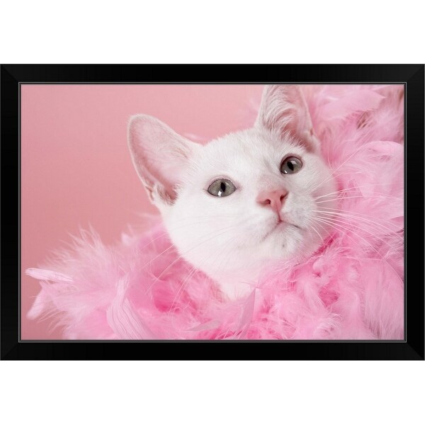 "Cat wearing feather boa" Black Framed Print