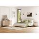 Option Beige