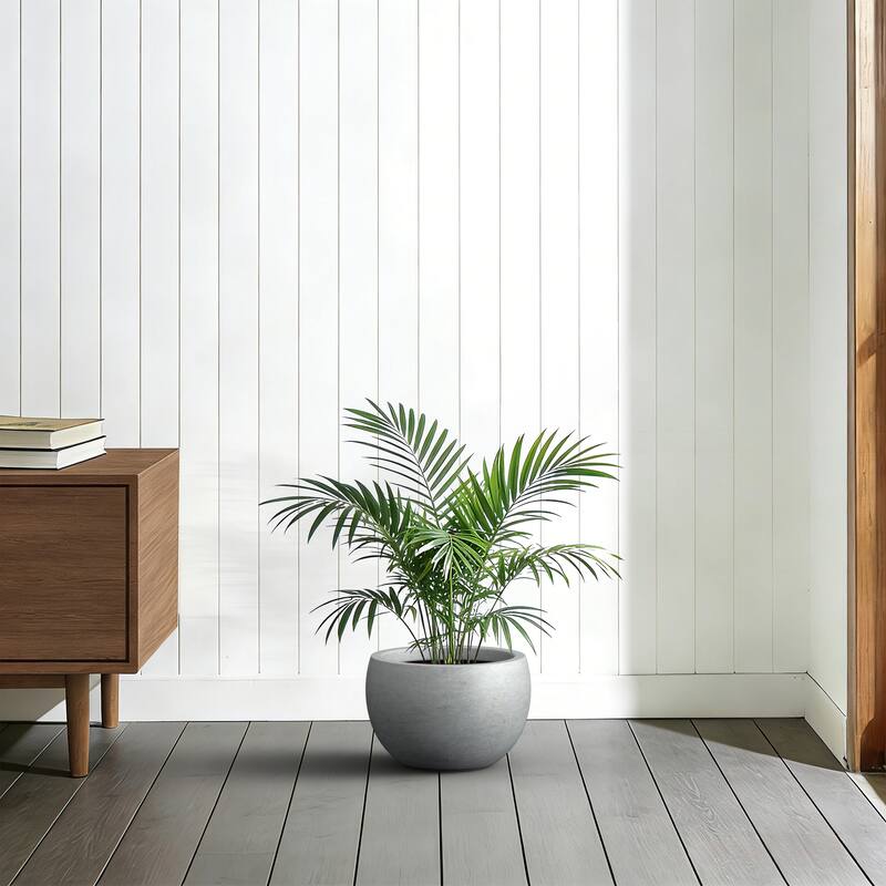 Concrete Round Bowl Planter with Drainage Hole(Upgraded Interior)