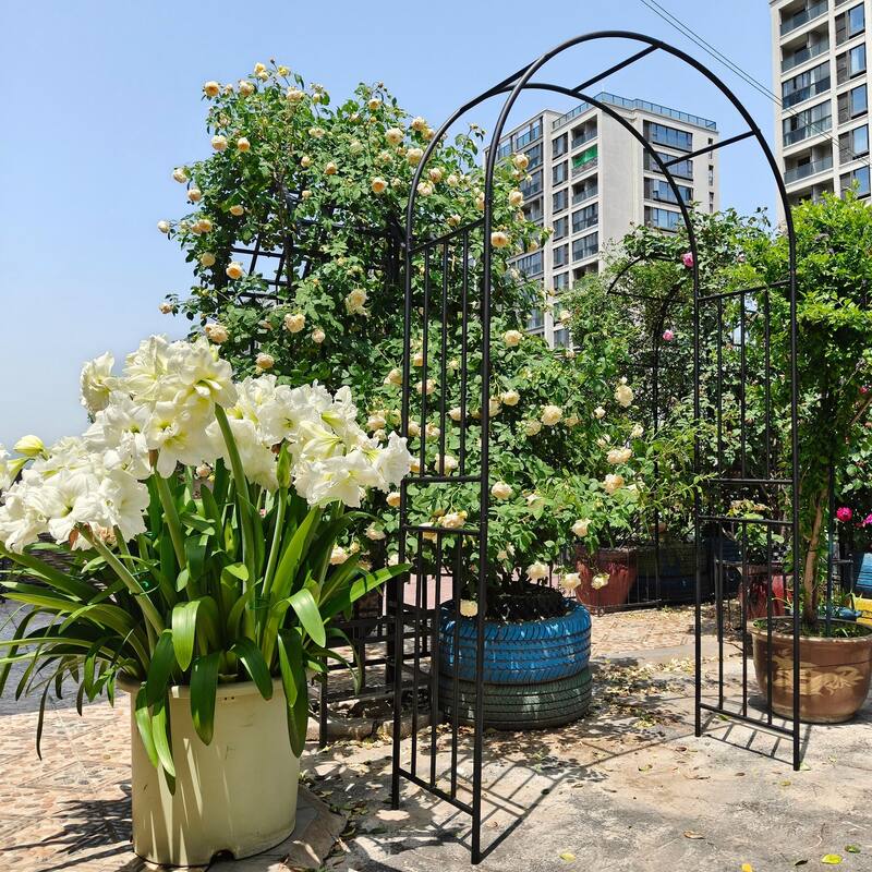 Outdoor Metal Rose Garden Arch