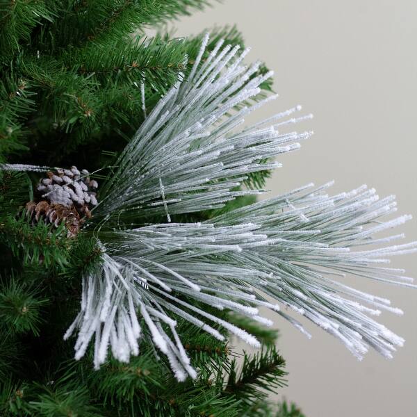 Frosted Pine