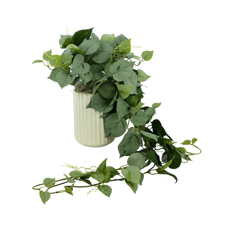 Ivy Arrangement in a Ceramic Vase - Green