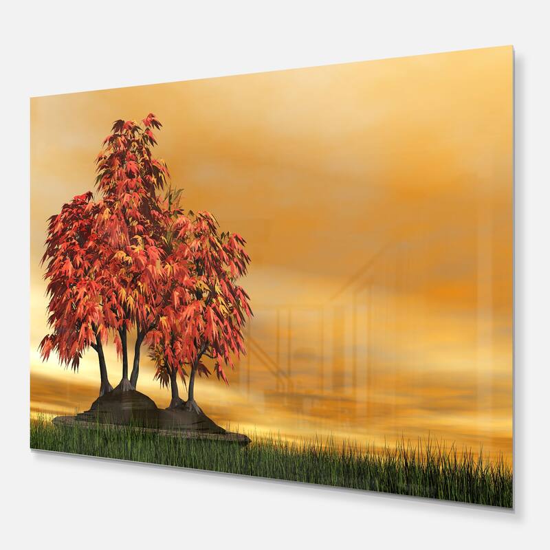 Designart 'Bonsai Landscape' Photography Metal Wall Art Bed Bath