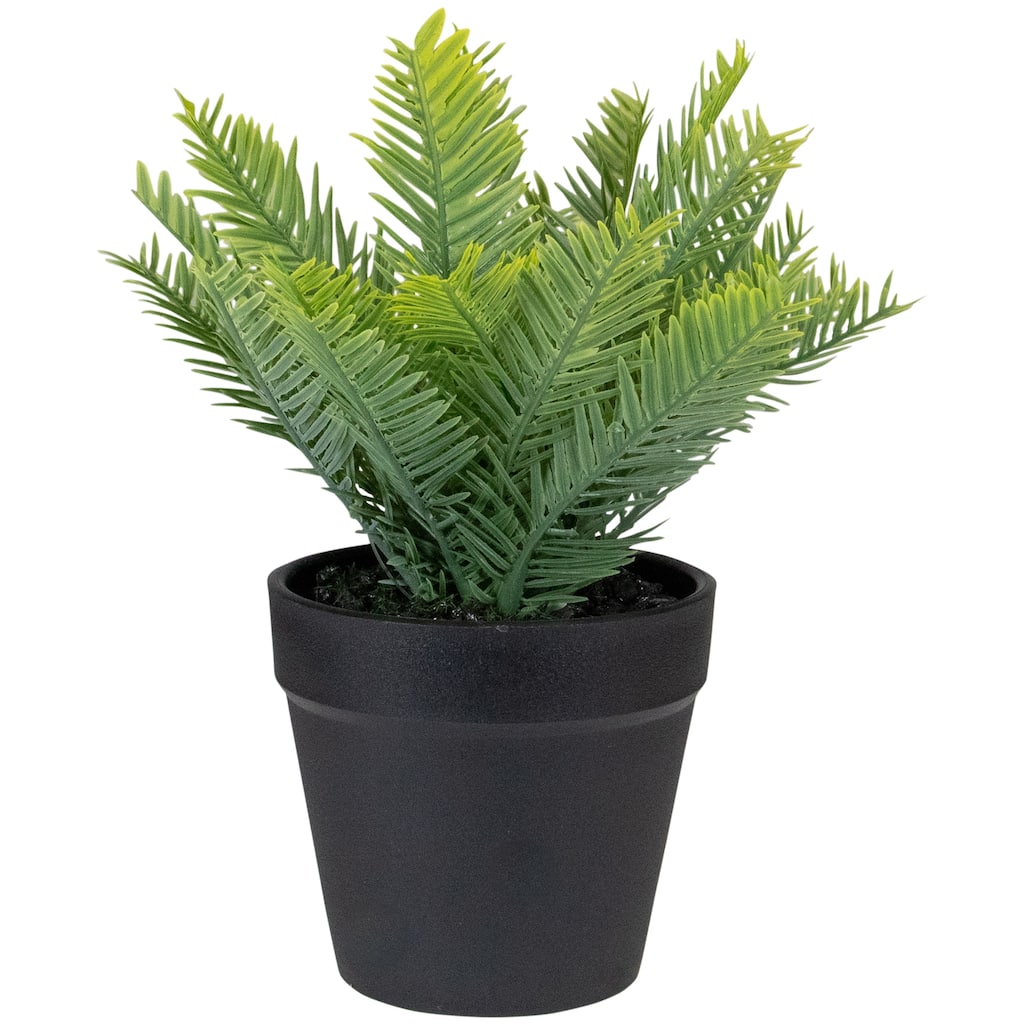 Artificial Chinese Yew Plant in Black Pot - 7.5"
