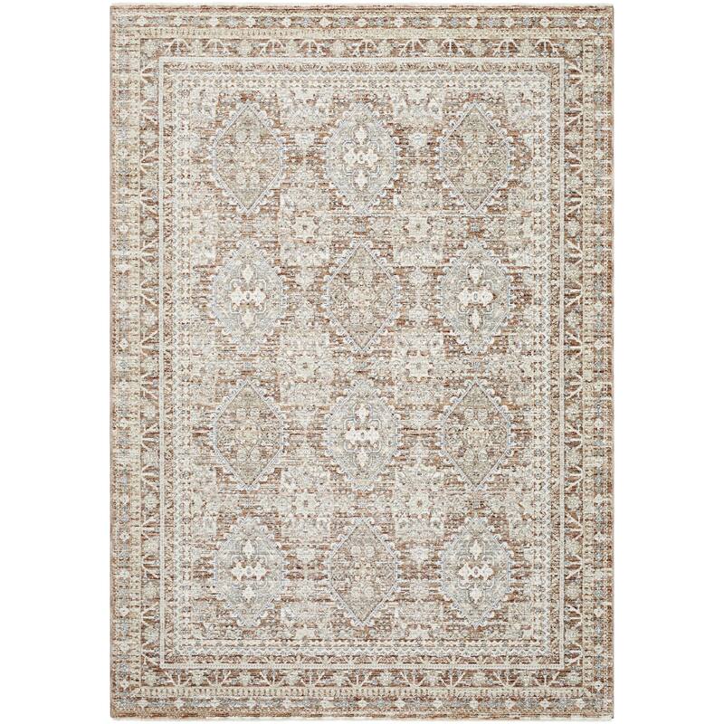 Anabelle Vintage Oriental Area Rug