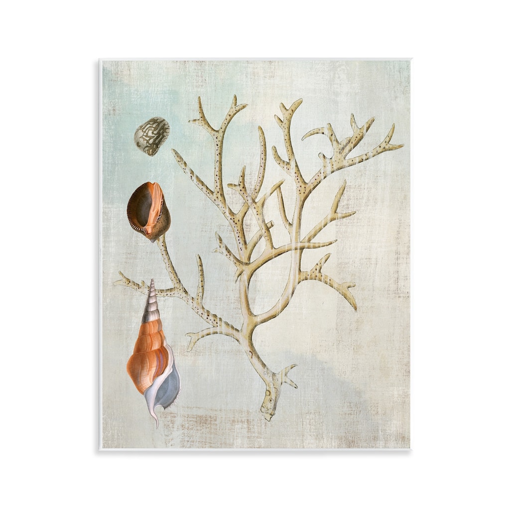 Stupell Seashells and Coral Branch Wall Plaque Art Design By Susan Arnot