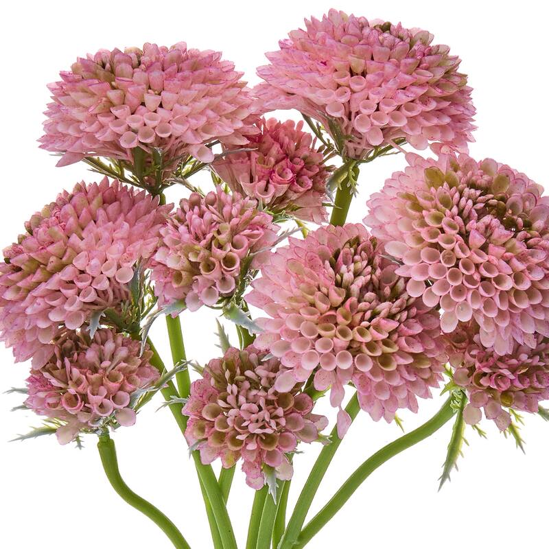 14" Scabiosa Bundle