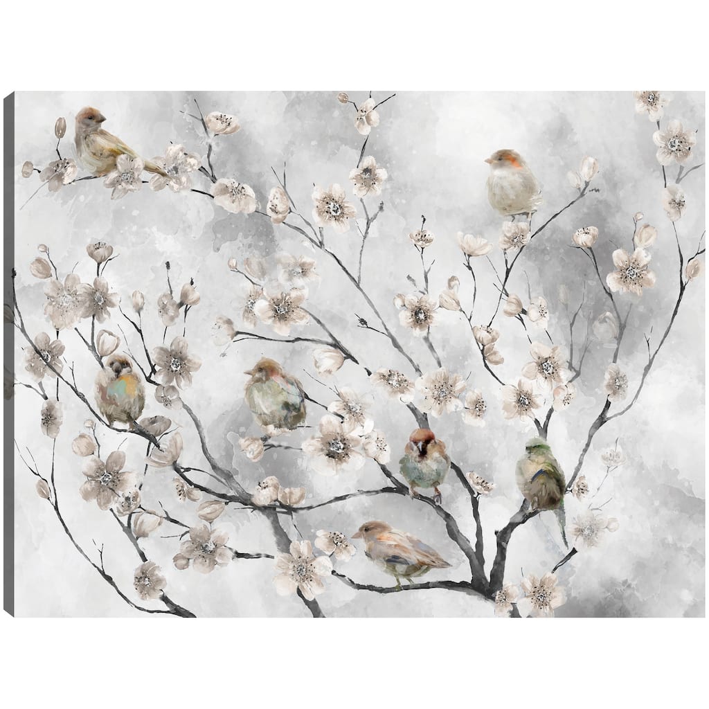 Cherry Blossom Birds By Studio Arts Canvas Art Print