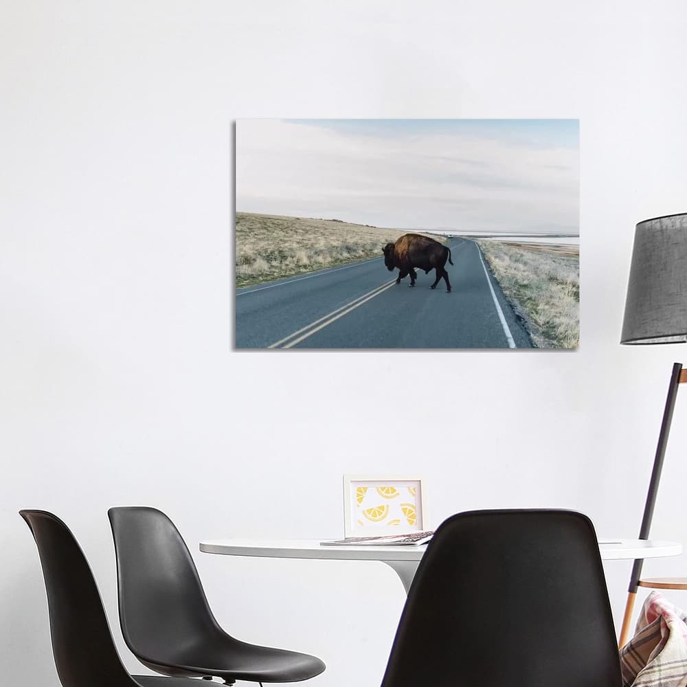 iCanvas "Buffalo Bison" by Chelsea Victoria Canvas Print