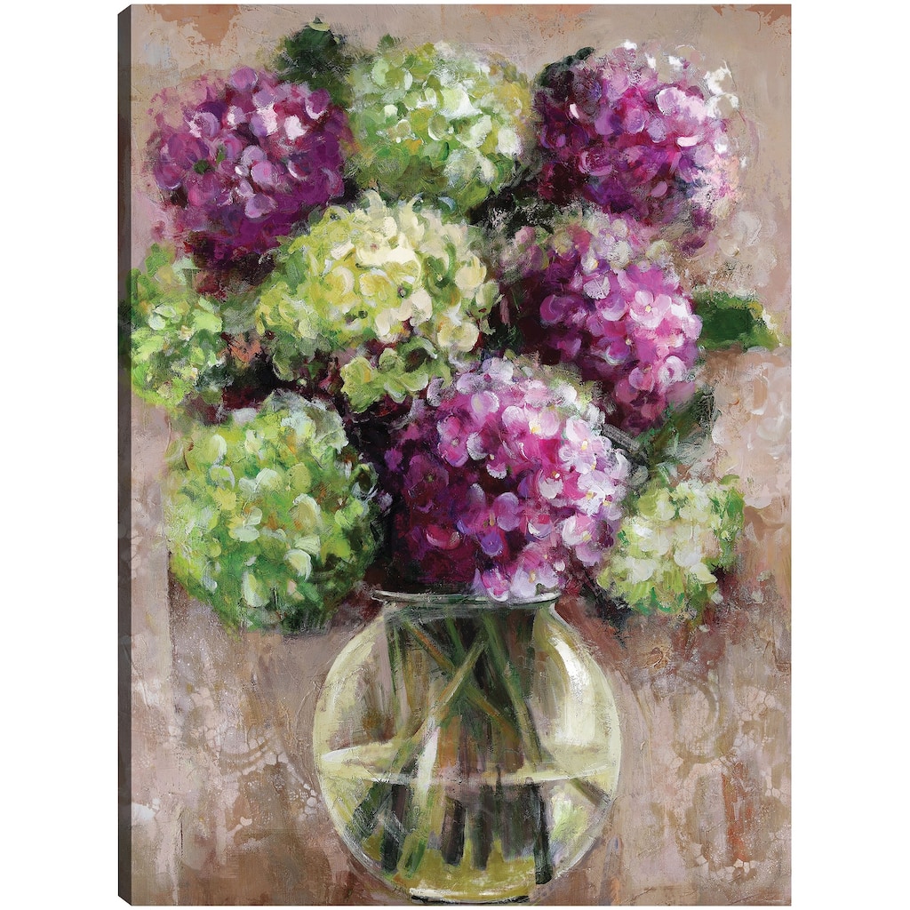 Hydrangea Study By Sandy Doonan Canvas Art Print