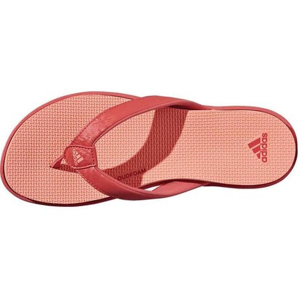 adidas women's cloudfoam thong sandal