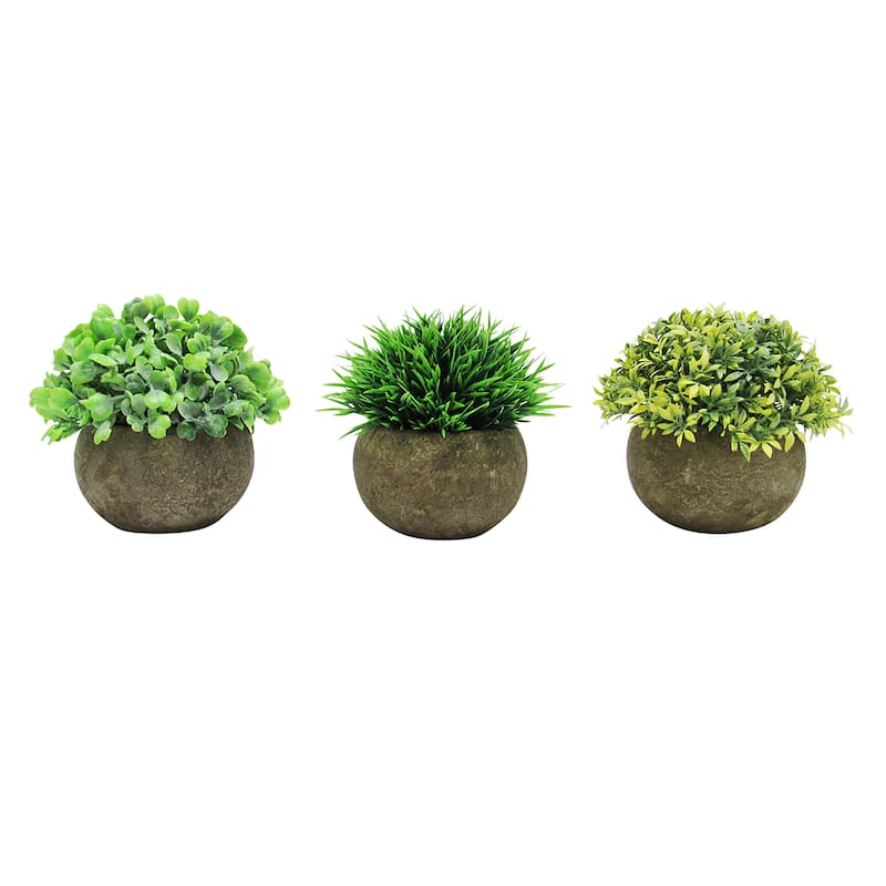 Set of 3 Frosted Green Artificial Boxwood Grass Leaf Succulent Mix Small Plant in Pot 4.5in - 4.5" H x 4.5" W x 4.5" DP