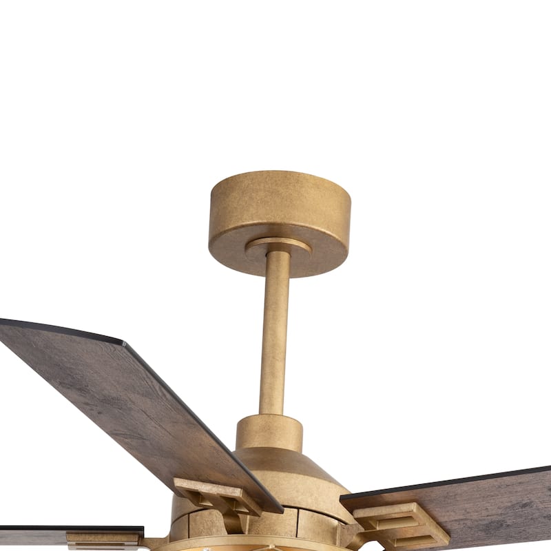 52" Reversible 5-Blade Farmhouse Glam Floral Glass Caged Ceiling Fan with Light and Remote