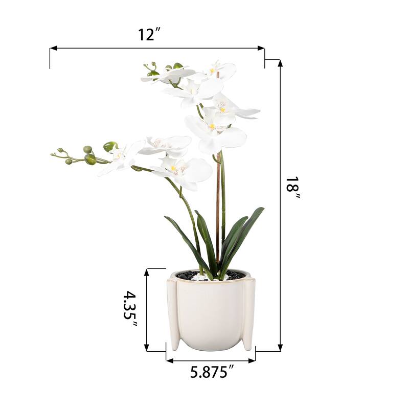 18"H Real-touch Orchids in 6" Ceramic 6*6*4.25