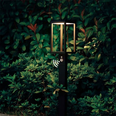 Solar Outdoor Pathway Sensor Light