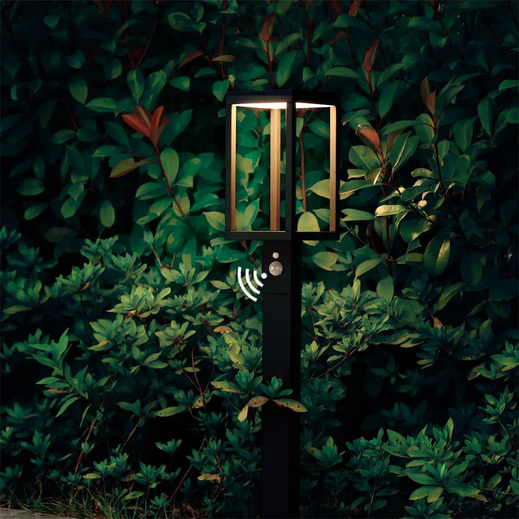Solar Outdoor Pathway Sensor Light